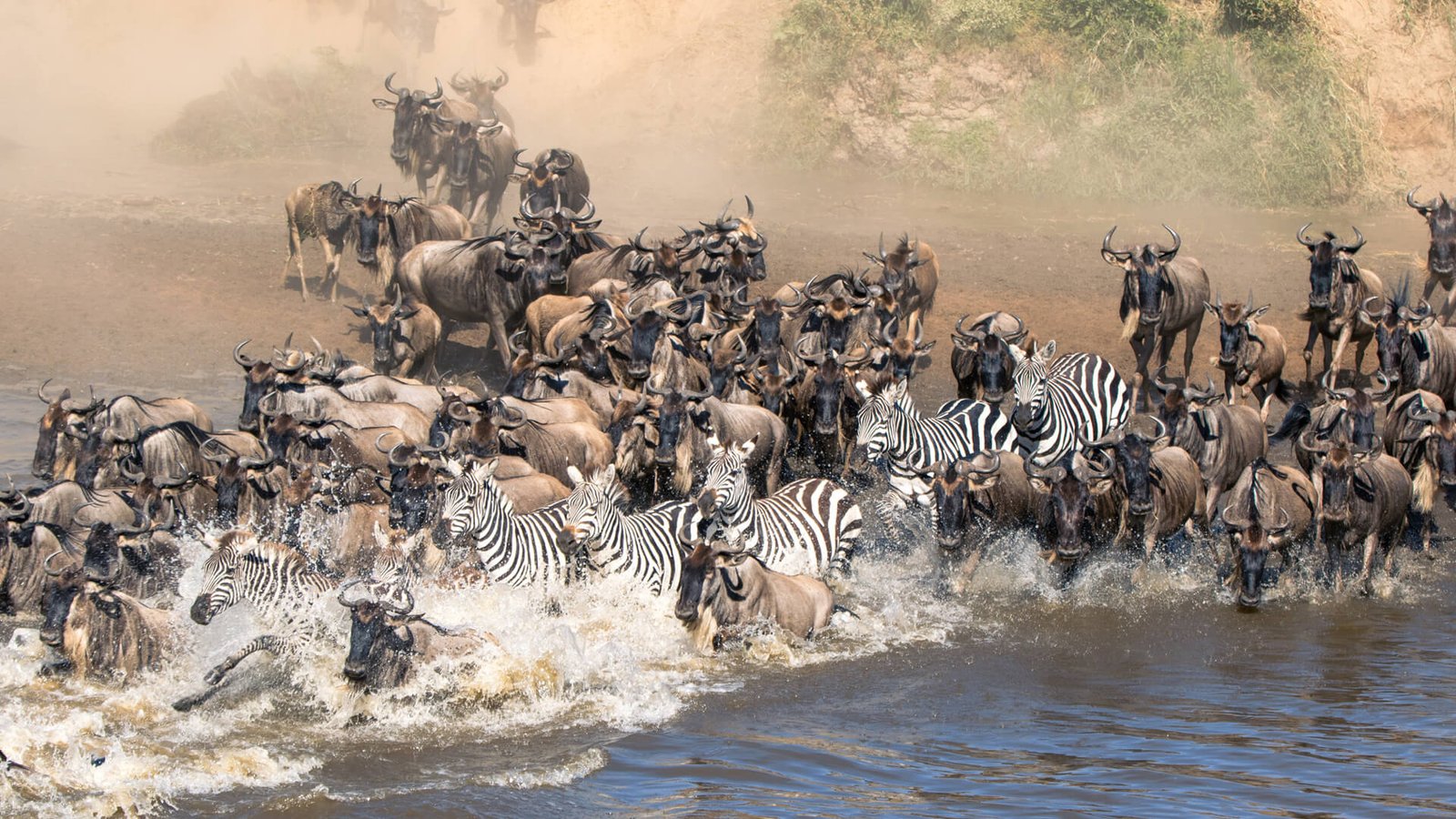 The Great Migration